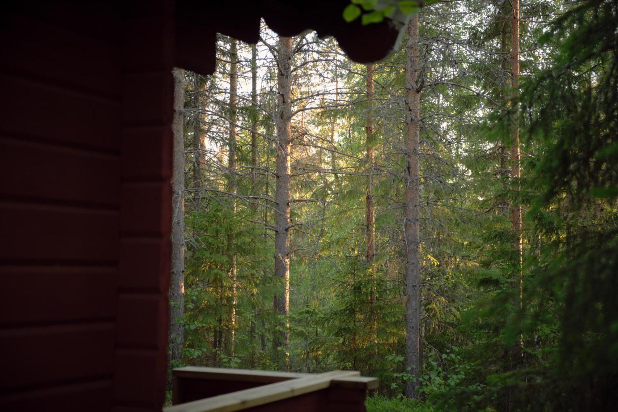 Langforsen Glamping & Lapland Experience Hotel Lapptrask Exterior photo